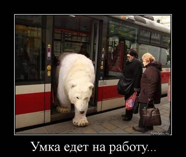 Подборка демотиваторов демотиваторы, юмор