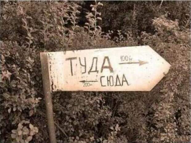 фото прикол