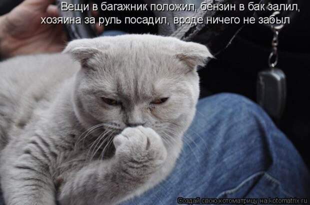 Мысли вслух :)