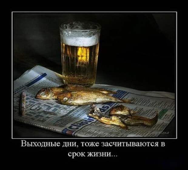 Демки, последние прикольные.