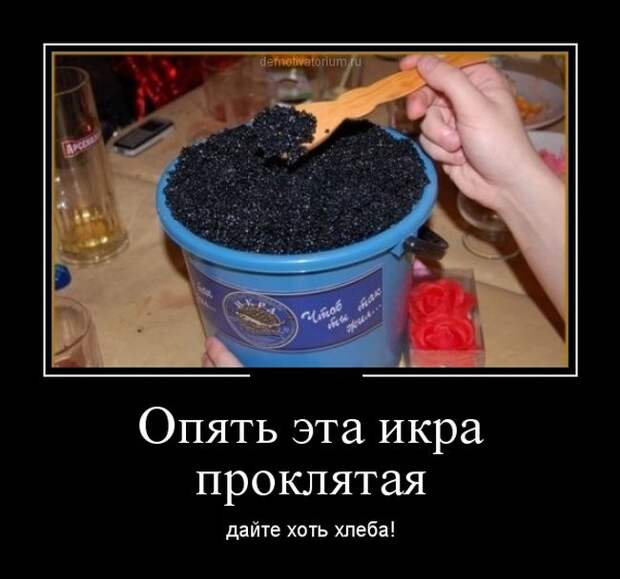 Демотиваторы (30 фото)