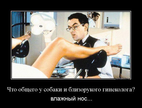 Пост новых демотиваторов для настроения