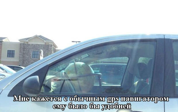 Прикольные картинки (101 фото) Прикольные картинки (101 фото)
