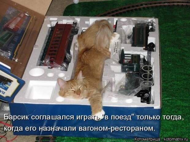 Свежий сборник котоматриц (34 шт)
