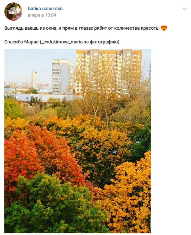 Фото дня: осенние краски Бабушкинского