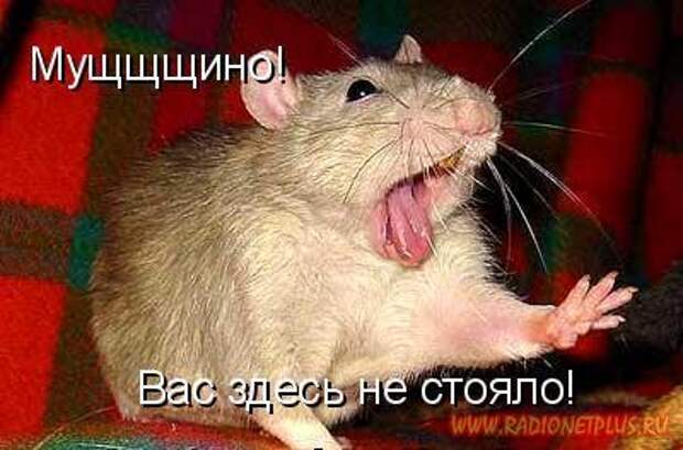 Зверье мое......