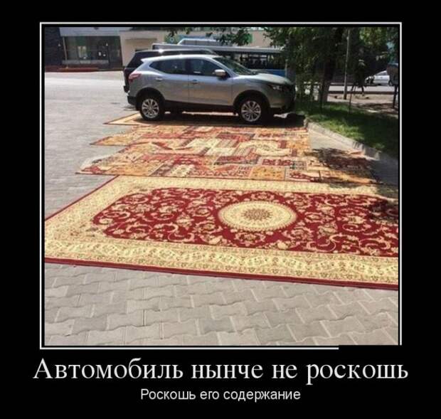 Демотиваторы демотиваторы, прикол, смех, юмор