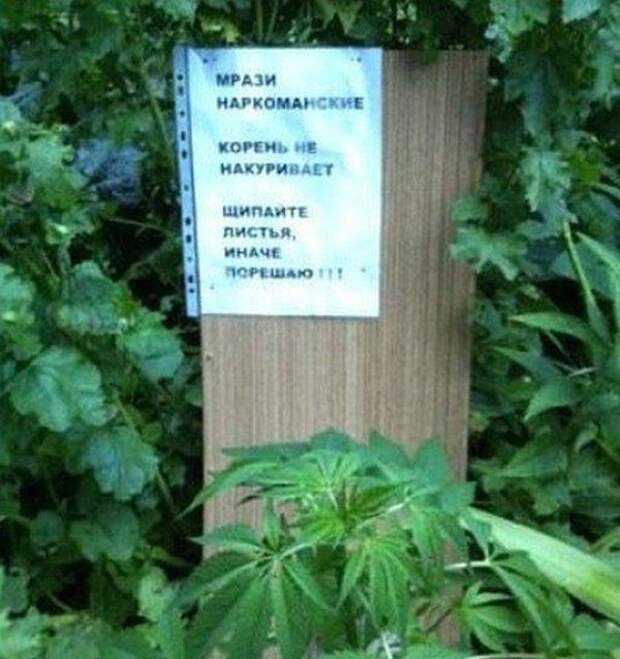 Объявления и надписи прикол, юмор
