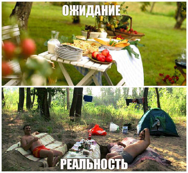 Хотел посидеть культурно. ожидание и реальность, шашлыки, юмор