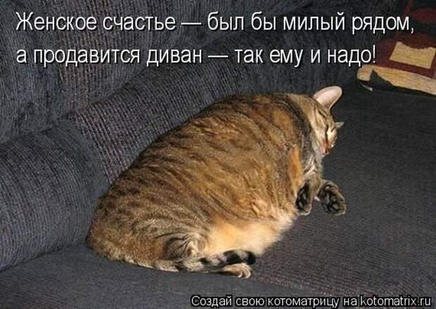 Позитив зверский с забавными надписями Позитив зверский с забавными надписями