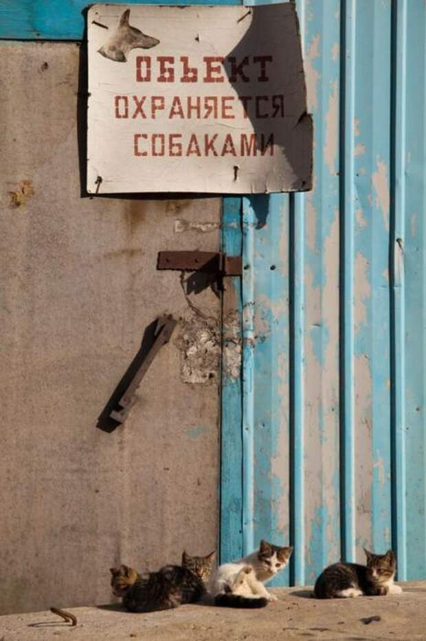 Прикольные надписи, объявления