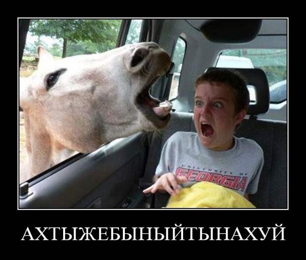Демотиваторы (133 картинки)