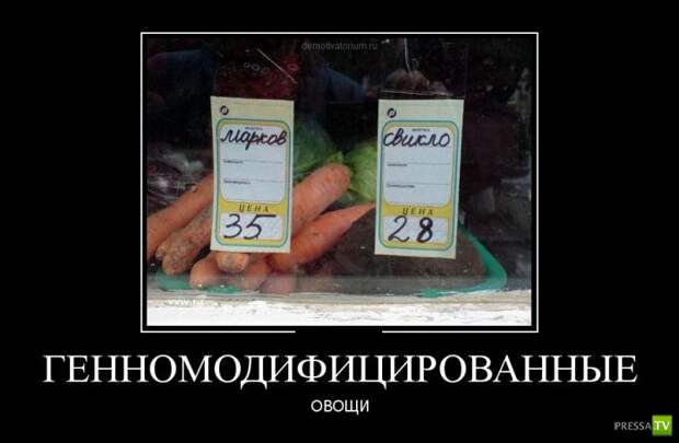 Демотиваторы на сентябрь 3, (30 фото)