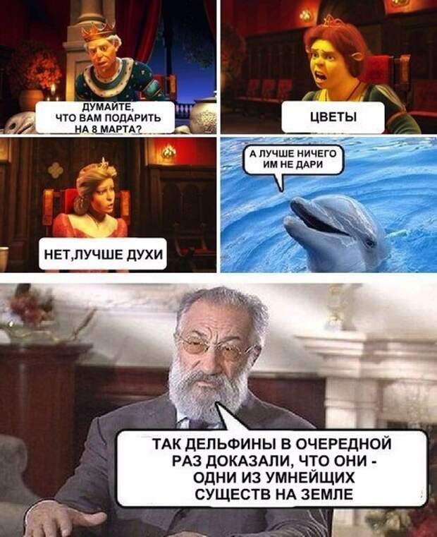 Картинки, юмор, приколы