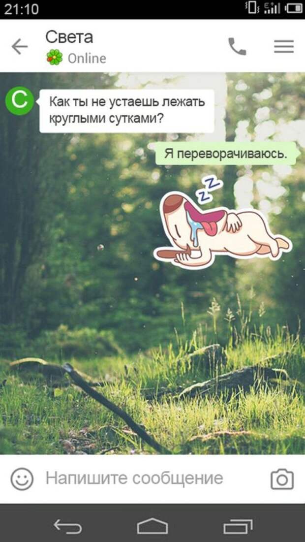 Мужские СМС-ки обо всём на свете (15 шт)