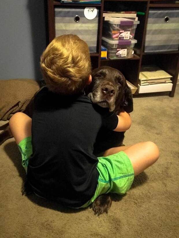 My Son's Always Been A Hugger. My Dog Wasn't Totally Comfortable With That At First, But He's Come Around