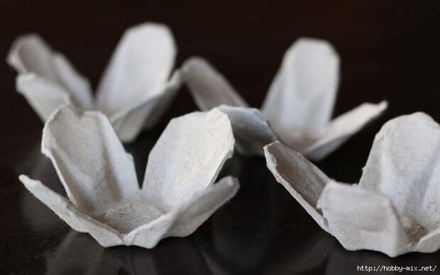 egg carton roses - layer 1 (700x438, 146Kb)