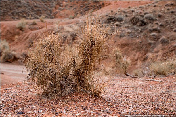 Чарынский каньон / Sharyn Canyon