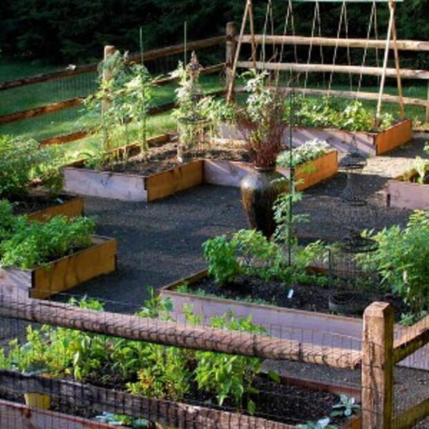 creative-use-large-pots-and-containers-in-garden9-1
