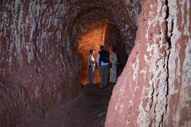 Гигантские древние ленивцы рыли огромные подземные туннели