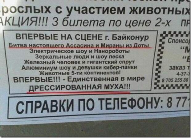 25dae6e5c19f35273919ddc9b9e_prev