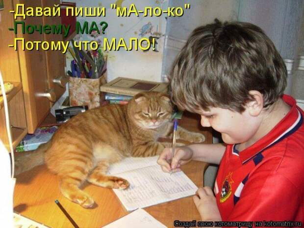 Мысли вслух :)
