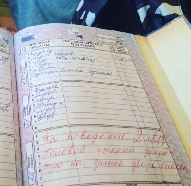 смешная запись в дневнике школьника