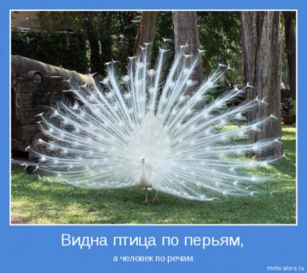 Смысл есть.
