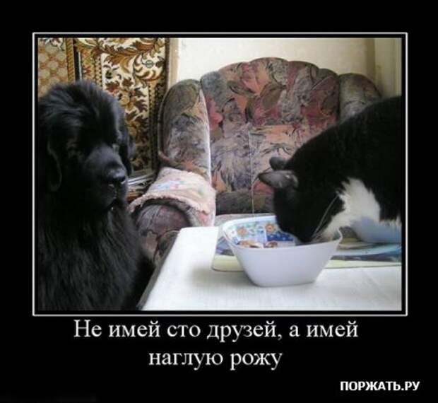 Демотиваторы - море позитива!