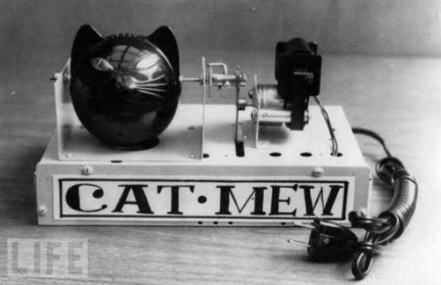 Машина Cat-Mew (1963) Машина Cat-Mew (1963) история, ретро, фото