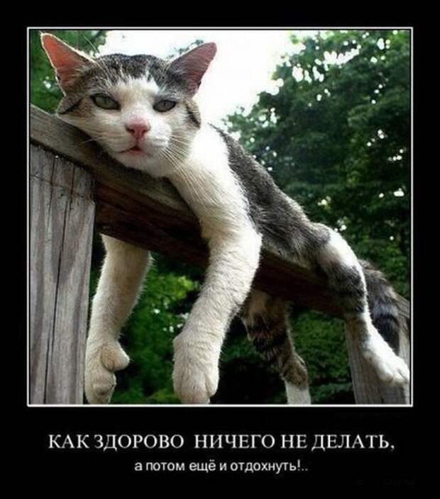 Демотиваторы для всех №9