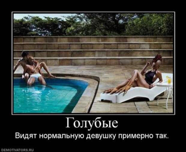Картинки прикольные демотиваторы.