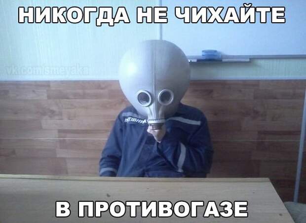 Смешные картинки с надписями прикол, юмор