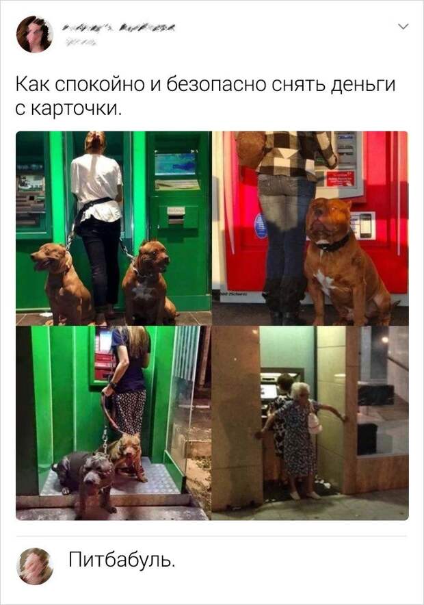 socsetey-kommentariev-sarkastichnyh-citaty-vkontakte-vkontakte-smeshnye-statusy