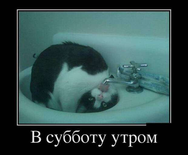 Демотиваторы демотиваторы, юмор