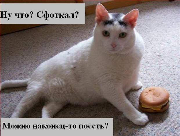 Мысли :) (50мыслей)