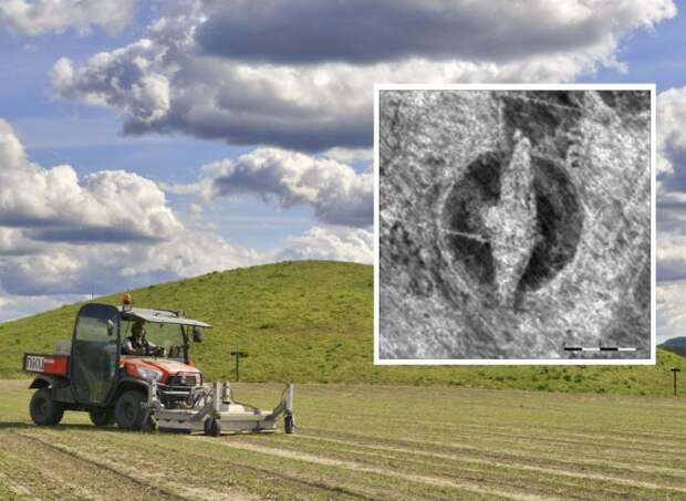 Уникальное погребение эпохи викингов. /Фото: livescience.com Уникальное погребение эпохи викингов. /Фото: livescience.com