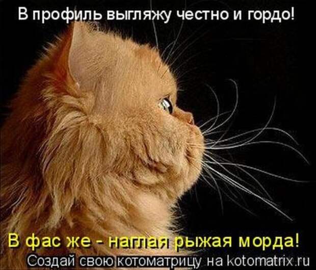 Несерьезные отношения (котоматрица)