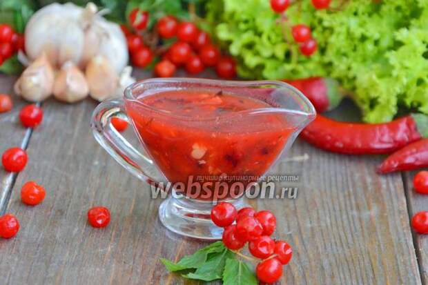 Фото Соус из калины к мясу