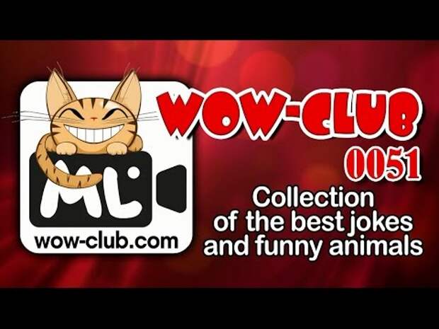 Сборник приколов WOW-club #0051. Collection of the best jokes and funny animals