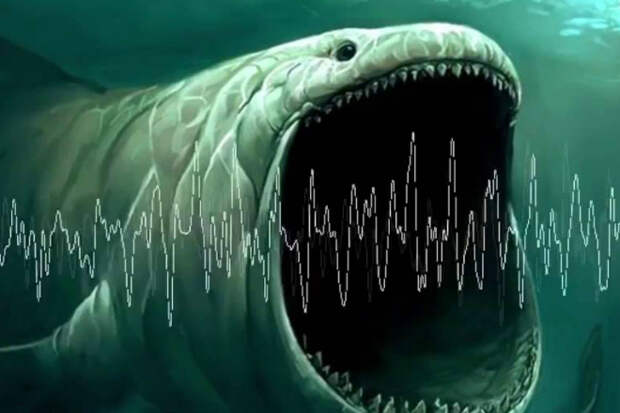 Гул Земли испугал ученых: под океаном слышен странный звук