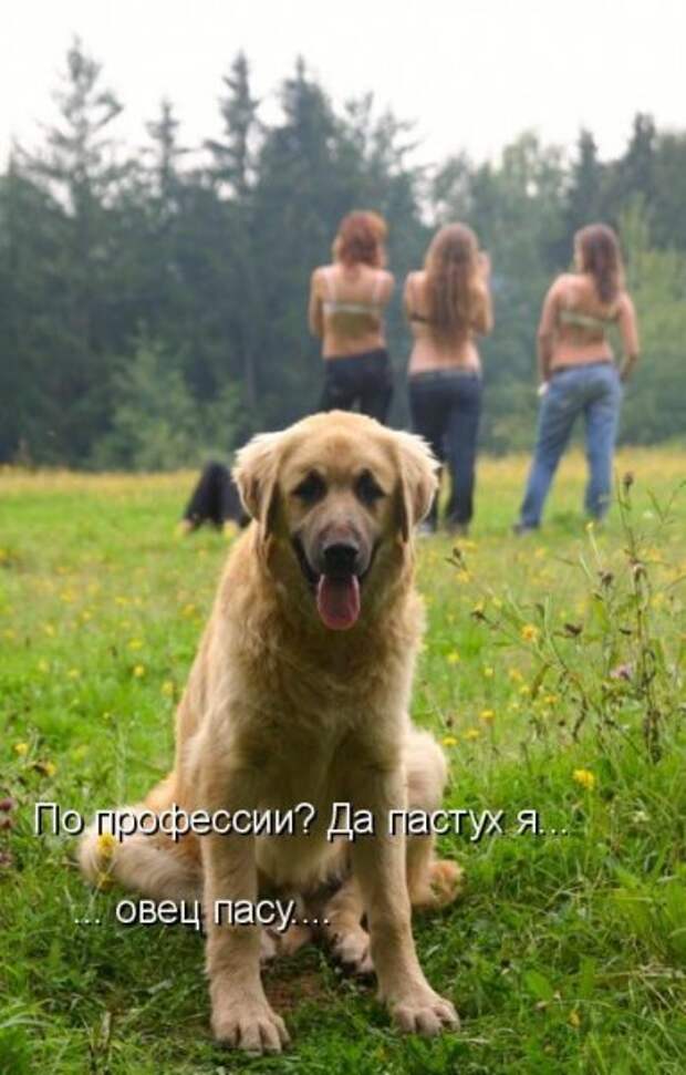Кото матрица 7
