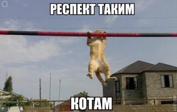 Может, показалось? 15