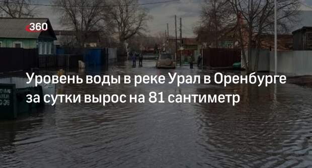 Уровень воды в реке Урал в Оренбурге вырос до 978 сантиметров
