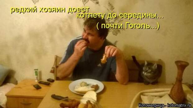 Новая котоматрица для всех (33 фото)