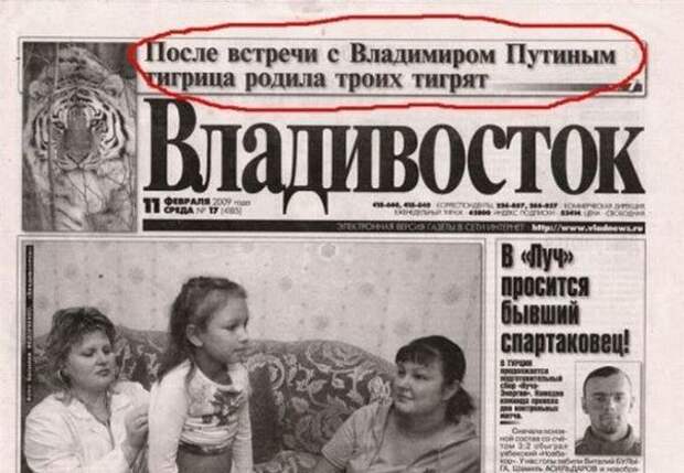 Ассорти Vlll Ассорти Vlll