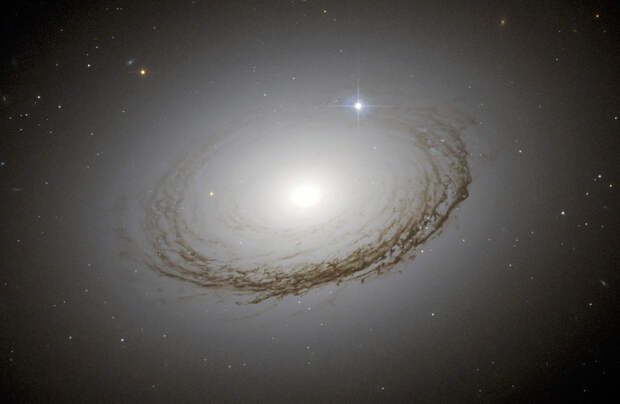 Гигантская галактика NGC 7049 Гигантская галактика NGC 7049