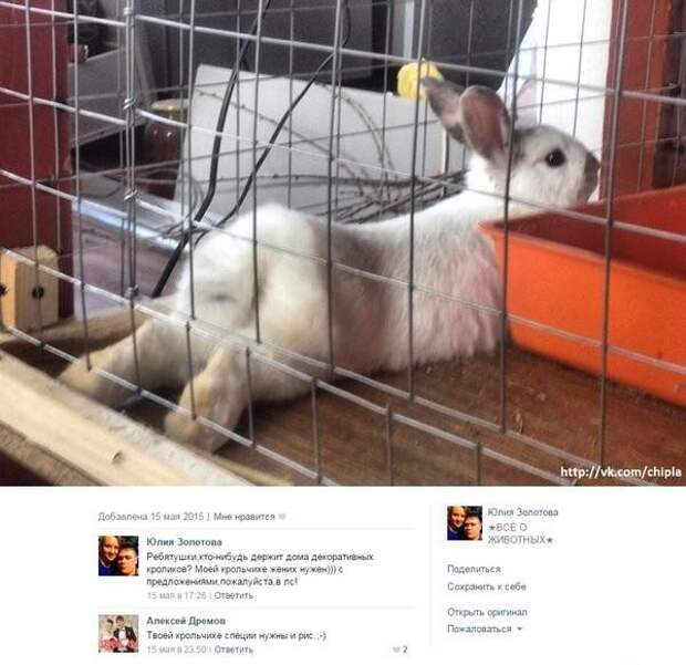 Приколы из социальных сетей