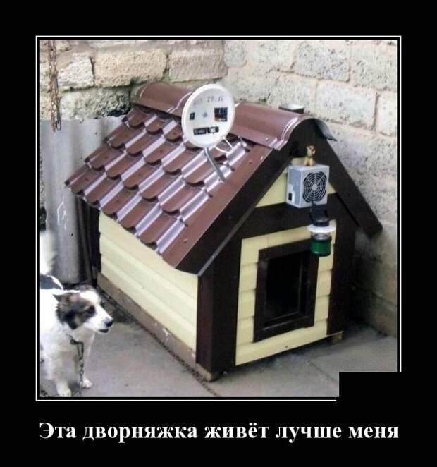 Демотиваторы (30 фото)