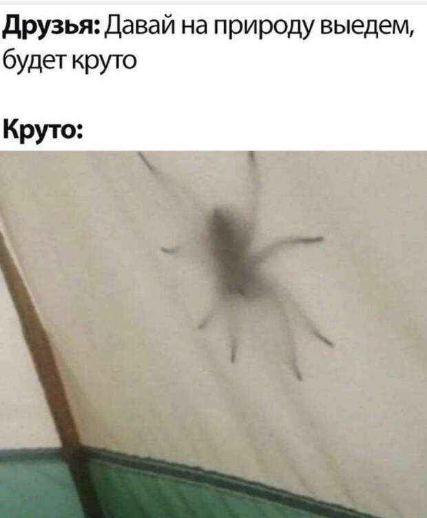 картинки прикольные смешные (5)